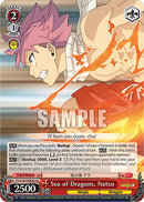 Sea of Dragons, Natsu (FT/S120-E069S SR) [FAIRY TAIL 100 YEARS QUEST]