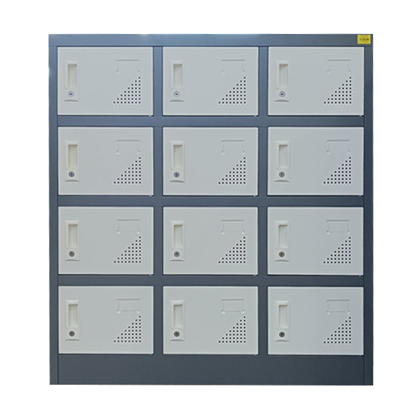 Locker Rental Service