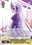 Troubled Expression, Eu (Fkz/W65-TE01 TD) [Fujimi Fantasia Bunko]
